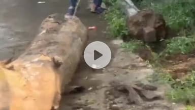 गोपद बनास: सीधी जिले के दक्षिणी करौंदिया में मिला जहरीला कोबरा, वन विभाग की टीम ने पकड़कर सुरक्षित छोड़ा