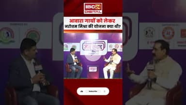 आवारा गायों को लेकर नरोत्तम मिश्रा की योजना क्या थी? #mpnews #narottammishra #straycows