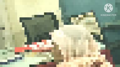 पंधाना: बोरगांव चौकी क्षेत्र में 27 वर्षीय महिला से अश्लील हरकत, मामला दर्ज