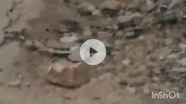 मालथोन: मालथौन में पाइपलाइन डालने के लिए खोदी गई सड़कों की मरम्मत न होने से नगरवासी परेशान