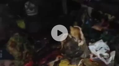 महाराजगंज: सिद्धार्थनगर वार्ड में गैस सिलेंडर के रिसाव से लगी भीषण आग, लाखों का सामान जलकर हुआ राख