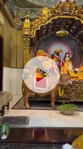 #राधे #vishnu #spirituality #trending #radhakrishn #barsana #dwarkadhish #janmashtami #spiritual #temple