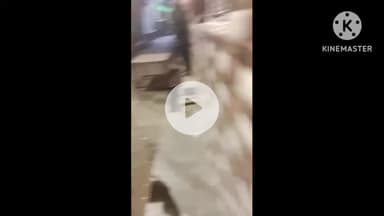 मैनपुरी: कोतवाली क्षेत्र में दबंगों द्वारा पीड़ित के घर में पत्थर फेंकने का वीडियो सोशल मीडिया पर हुआ वायरल