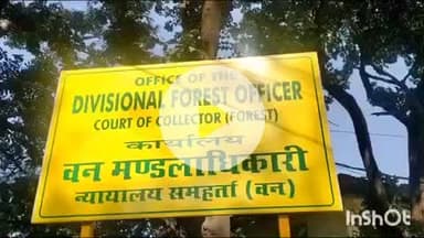 बिलासपुर सदर: वन विभाग के लिए खैर के पेड़ बने कमाई का बेहतर साधन, काटे गए पेड़ों से करोड़ों का राजस्व मिला