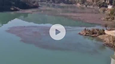 डेहर: डैहर सतलुज नदी जलाशय में भारी मात्रा में गंदगी आने से उठाऊ पेयजल योजना डैहर आंशिक रूप से हो रही है प्रभावित