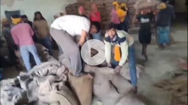 बख्तियारपुर: बख्तियारपुर SFC गोदाम में गंदा खाद्यान्न पैकिंग का वीडियो वायरल, डीलरों ने मैनेजर की मनमानी पर जताई नाराज़गी