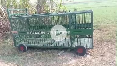 मुज़फ्फरनगर: शकरपुर में तेंदुए का आतंक, खौफ से खाली पड़े खेत, 10 दिन की दहशत के बाद विभाग हरकत में आया, जंगल में लगा पिंजरा