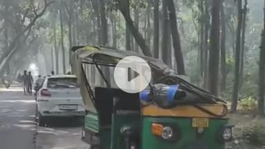 महाराजगंज: पनियरा से भटहट मार्ग पर जंगल के पास ऑटो पलटने से चालक गंभीर रूप से घायल