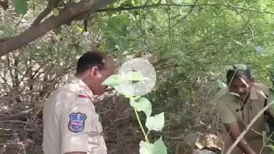 మఠంపల్లి: పాత దోనబండ తండాలో సారా కేంద్రాలపై పోలీసుల దాడి