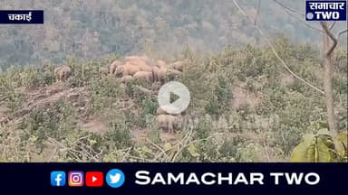 चकाई से धीरे-धीरे झारखंड सीमा की ओर बढ़ रहा हाथियों का झुंड,विभाग सतर्क