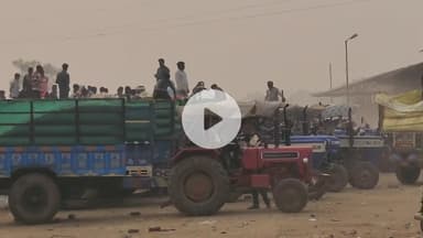 नरवर: नरवर मगरोनी कृषि उपज मंडी में फसलों की आवक जारी, धान ₹2500 व मूंगफली ₹6500 प्रति क्विंटल