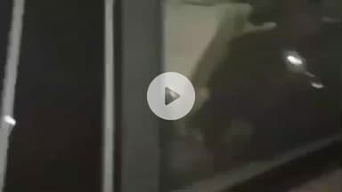 कांके: सिमलिया स्थित फार्म हाउस में महेंद्र सिंह धोनी ने टीम इंडिया के खिलाड़ियों को डिनर पर बुलाया