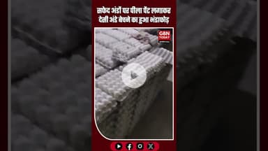 मुरादाबाद: सफेद अंडों पर पीला पेंट लगाकर ‘देसी अंडे’ बेचने का फर्जीवाड़ा पकड़ा #Moradabad #UPNews