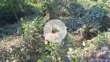 বদরপুর: ঠান্ডাপুর গ্যামেন সেতুর পাশে এক নবজাতকের মৃতদেহ উদ্ধার