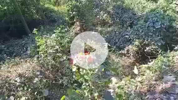 বদরপুর: ঠান্ডাপুর গ্যামেন সেতুর পাশে এক নবজাতকের মৃতদেহ উদ্ধার