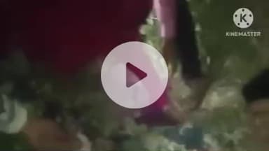 हमीरपुर: रेलवे अंडरपास पढ़ोरी मार्ग में महिला घायलावस्था में पड़ी मिली, अस्पताल ले जाते समय हुई मौत