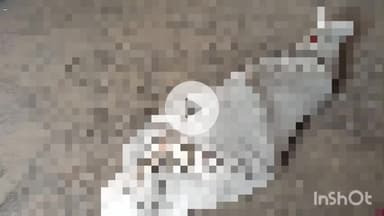 हरदोई: अटवा असिगांव में कमरे के अंदर गमछे के फंदे से फांसी लगाकर अधेड़ ने की आत्महत्या, पुलिस ने शव का कराया पोस्टमार्टम