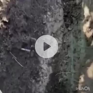 ढटवाल: घरयाणी गाँव में पानी में कीड़े मिलने का मामला, जांच में हुआ खुलासा, पाइप में छेद होना निकला कारण