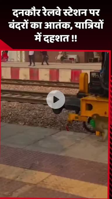 दादरी: दनकौर रेलवे स्टेशन पर बंदरों का आतंक, यात्रियों में दहशत