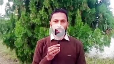 भभुआ: भभुआ कोर्ट ने नाबालिक पीड़िता से अमानवीय कृत के अभियुक्त को 15 वर्ष और तीन आरोपियों को तीन-तीन वर्ष की सुनाई सजा