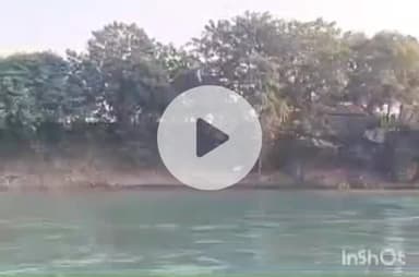 हरिद्वार: शंकराचार्य चौक के पास गंग नहर पटरी पर कुंभ 2027 के लिए बनेंगे कई घाट, कई संरक्षित पेड़ों पर चलेंगी आरियां