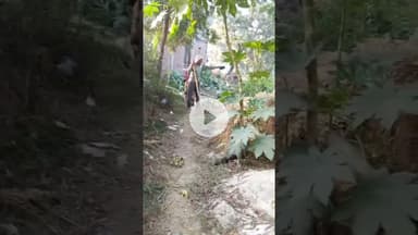 50 वर्षों से पड रहे घूरे को बराबर कर आरोपियों ने खोद दी नींव, मना करने पर किया विवाद, वीडियो वायरल