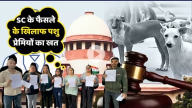 Animal Lovers Fight Supreme Court Order | Street Dogs Deserve ABC, Not Exile