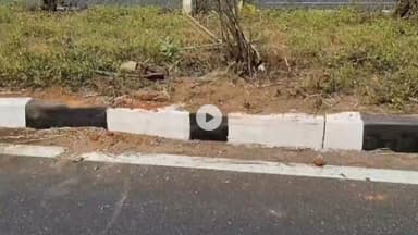 शिवपुरी: मुन्ना ढाबा के पास तेज रफ्तार अज्ञात वाहन की टक्कर से गाय की मौत, चालक फरार