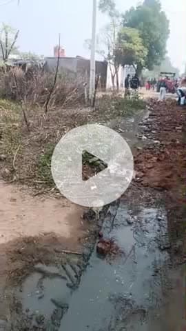 bharna coloni
garoli no 1