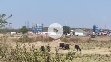 बीना: बीना रिफाइनरी की सुरक्षा से खिलवाड़, नियमों की अनदेखी और अवैध निर्माण का खतरा बरकरार