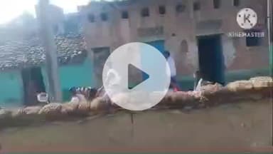 हमीरपुर: छिरका गांव में शादी के घर में युवा ट्रैक्टर चालक ने की आत्महत्या