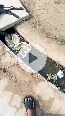 प्रयागराज घूरपुर मैंकवर भैंसपुर पाल बस्ती 
की नीली साफ नहीं हुआ है 6 महीने से 
प्रधान कोई वह नहीं कर रहे हैं