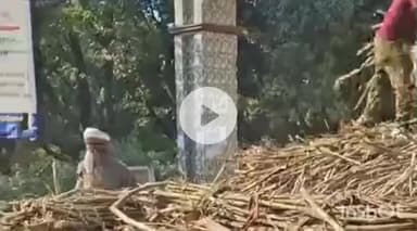 धामपुर: अफजलगढ क्षेत्र के विकार गेट के पास गन्ने से भरी ट्रैक्टर ट्राली अनियंत्रित होकर पलटी, एक बड़ा हादसा होने से टला