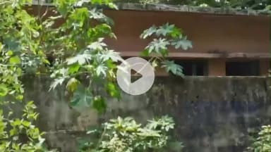 उतरौला: उतरौला के रेहरा बाजार विकासखंड ग्राम पंचायत रहमतपुर में 10 वर्षों पहले बने एएनएम सेंटर आज भी बदहाली की अवस्था में