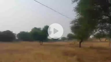 चिड़ावा: लालपुर में महज 4 फुट की ऊंचाई पर लटक रहा विद्युत सप्लाई का तार, बड़े हादसे की आशंका से ग्रामीणों में भारी रोष