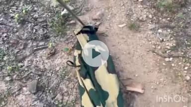 गोपद बनास: सीधी शहर के वार्ड नंबर 5 में जहरीला कोबरा सांप घुसा, वन विभाग की टीम ने पकड़ा