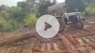 बरियातु: बालुभांग पंचायत क्षेत्र में पुलिस ने 10 एकड़ में लगी अवैध पोस्ता की खेती नष्ट की