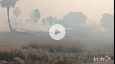 नवादा: मिल्की ढ़िबरी गांव में सरकार के आदेश की अवहेलना, खेत में पराली जलाते हुए किसान