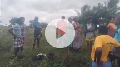 குன்னம்: எழுமூரில் அறுந்து விழுந்தகிடந்த மின் கம்பியை மிதித்த ஆடு உயிரிழப்பு