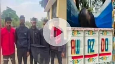 गरखा: रामपुर जनता कॉलेज के पास छापेमारी, पाँच पशु तस्कर गिरफ्तार, दो पिकअप व एक मवेशी ज़ब्त