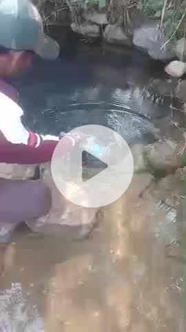 #parshapani#haathi sarye