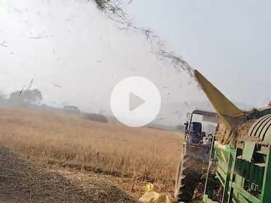 bahu dhan ki misai ho Rahi hai