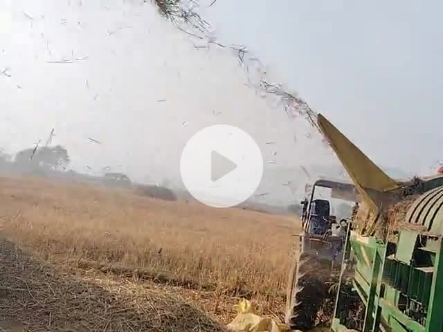 bahu dhan ki misai ho Rahi hai