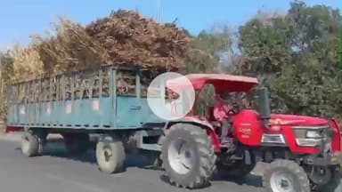 उतरौला: उतरौला तहसील अंतर्गत रेहरा बाजार में गन्ने से लदी ट्रैक्टर ट्राली ने 45 वर्षीय व्यक्ति को मारी टक्कर, मौके पर हुई मौत