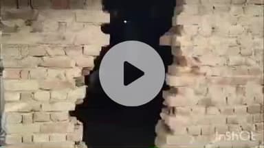 नानपारा: थनई गांव में दिवाल में सेंध लगाकर किसान की एक भैंस और दो पाड़िया चोरी, पुलिस की सक्रियता से निरहू गांव से एक भैंस बरामद