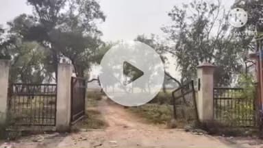 राजगीर: राजगीर फिल्म सिटी परियोजना चार साल से फाइलों में अटकी, अधिग्रहीत जमीन पर अब भी हो रही खेती