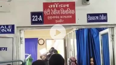 इंदौर: इंदौर में चूहों का आतंक: 11 महीनों में 1251 मामले आए सामने