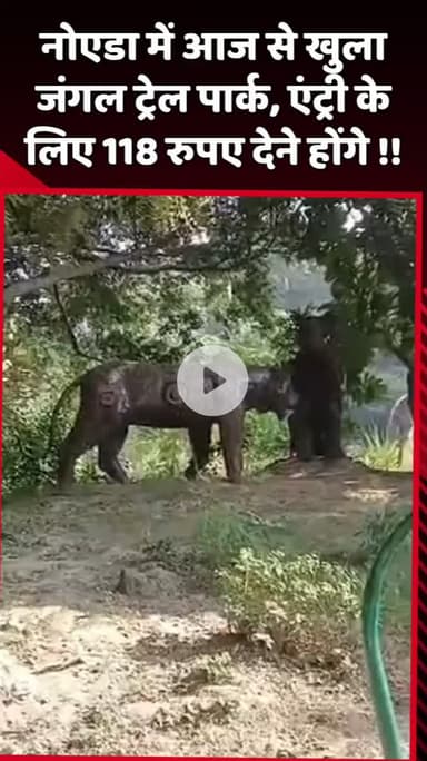 दादरी: नोएडा में आज से खुला जंगल ट्रेल पार्क, एंट्री के लिए 118 रुपये देने होंगे