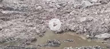 सोलन: परवाणू टिपरा में सड़े सेबों की बदबू से ग्रामीण परेशान