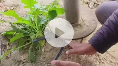 पानीपत: भाकियू प्रवक्ता के खेत से तार चोरी, मोटर चलाने पर खुलासा, अल्ट्राटेक फैक्ट्री से बाइक गायब